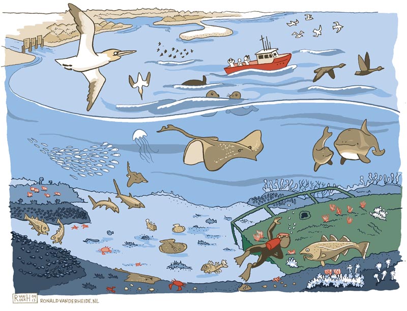 sneltekenen sneltekenaar illustrator illustraties stripmaker