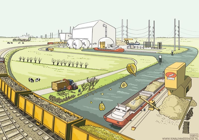 Visualisatie in vogelvlucht hernieuwbare energie biomassa en groen gas. Ronald van der Heide is illustrator, striptekenaar en live tekenaar (sneltekenaar). Complexe thema’s en informatie vat hij in heldere tekeningen, cartoons, een visueel verslag, strips en infographics. 
