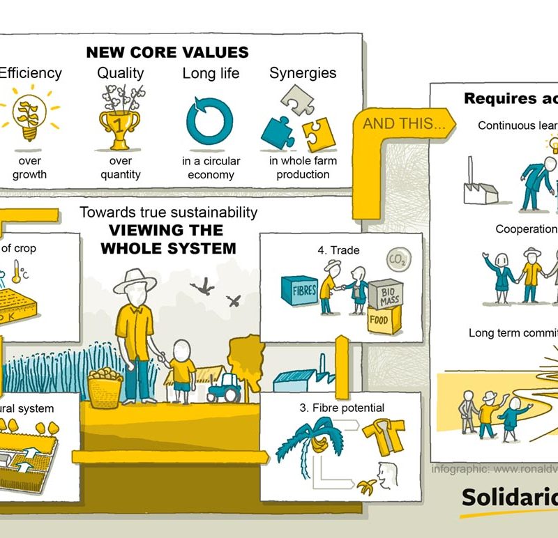 infographic duurzame kleding. Studio Ronald van der Heide maakt infographics voor wetenschappelijke academische artikelen duurzaamheid energie fair trade derde wereld ontwikkelingswerk