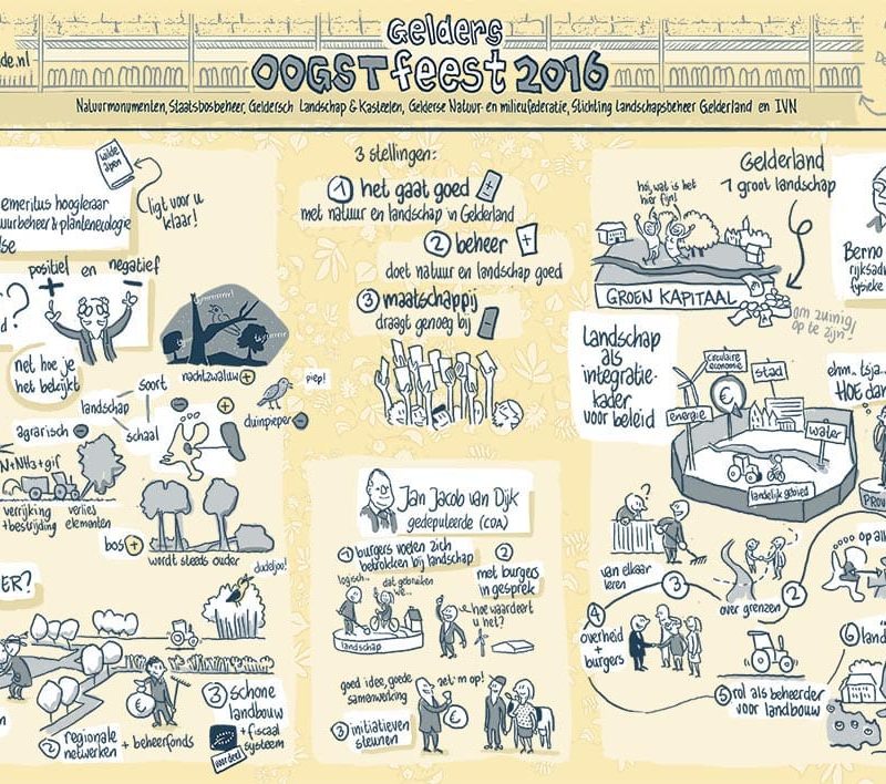 visueel notuleren visuele notulen oogstfeest gelderland natuur landschap ecologie economie circulair